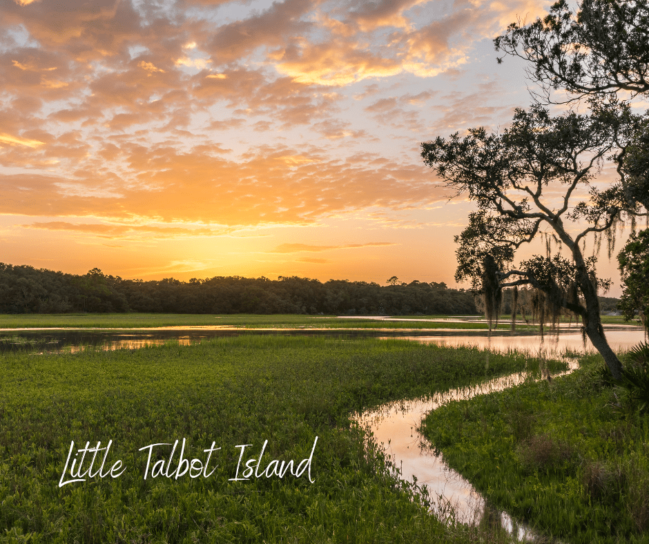 Things to do for solo travelers in Jacksonville Florida - Little Talbot Island